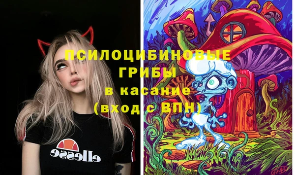 спайс Белокуриха
