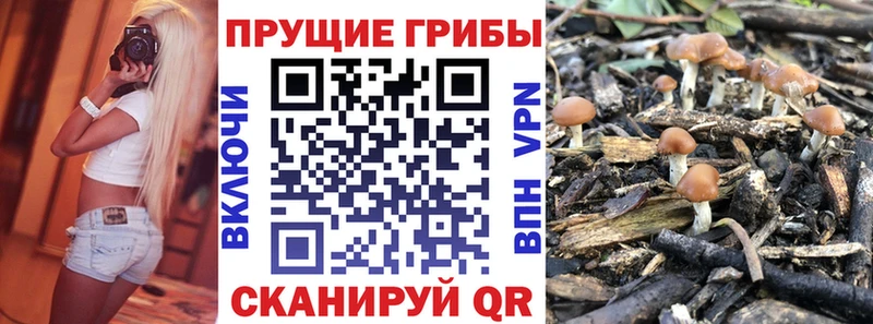 даркнет сайт  Красный Сулин  Псилоцибиновые грибы мицелий 